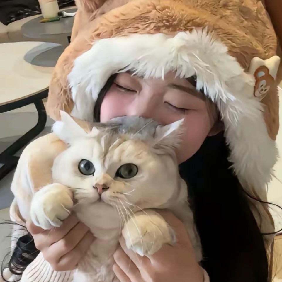 不吃奶酪🧀的我