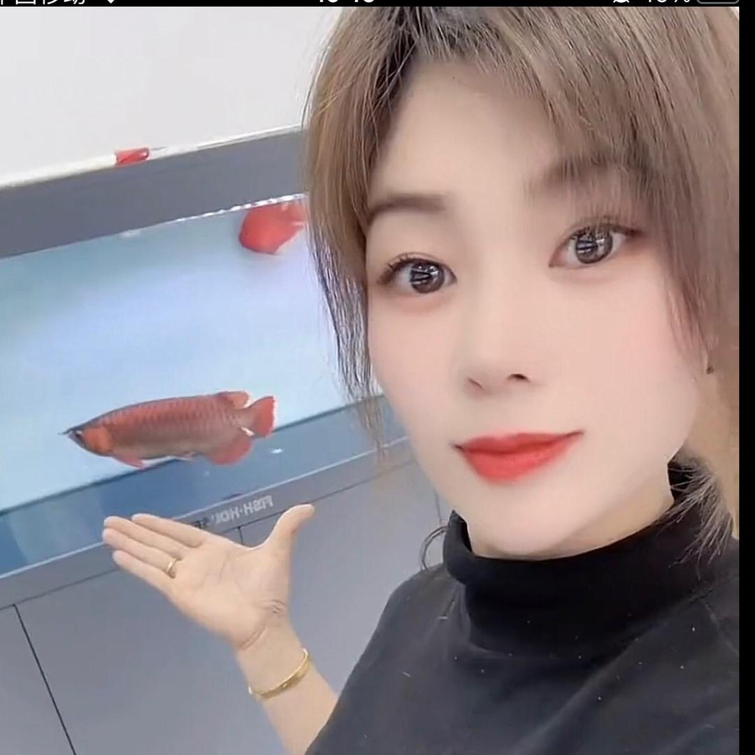 淄博沂源鱼缸观赏鱼-铭龙水族搬迁亿客家东