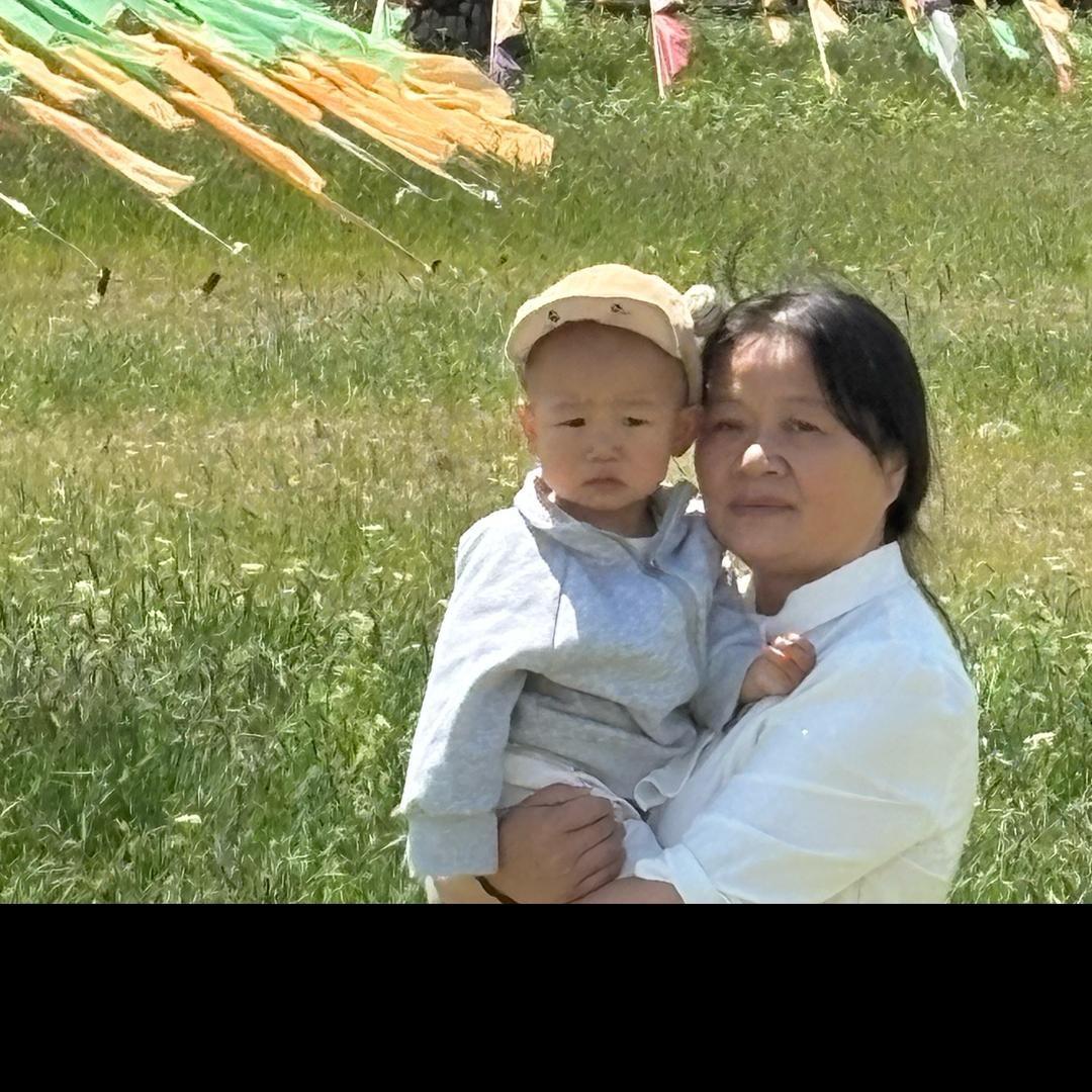 无忧草
