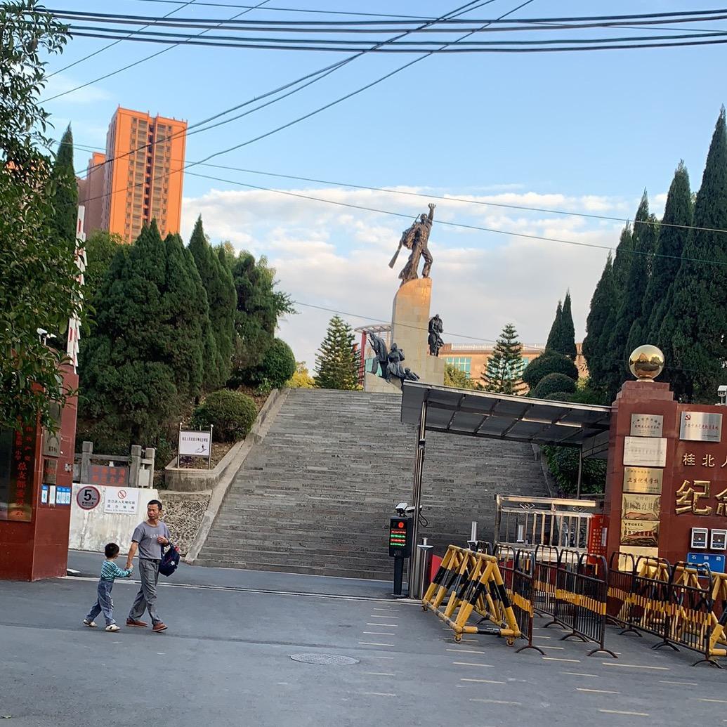 皮皮家的贵阳糯米饭（广西撞死四只鸡版）
