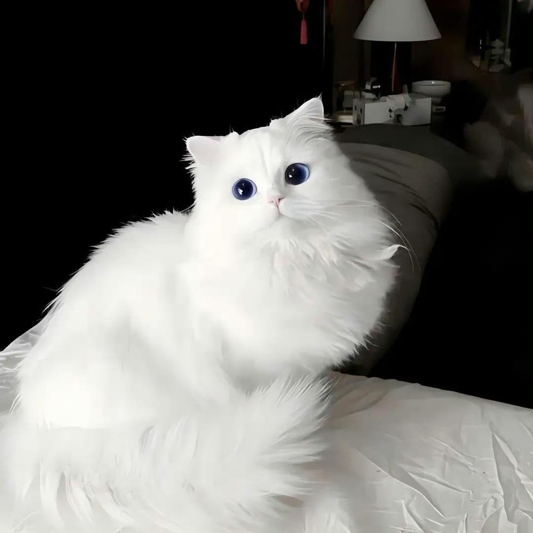 软泥