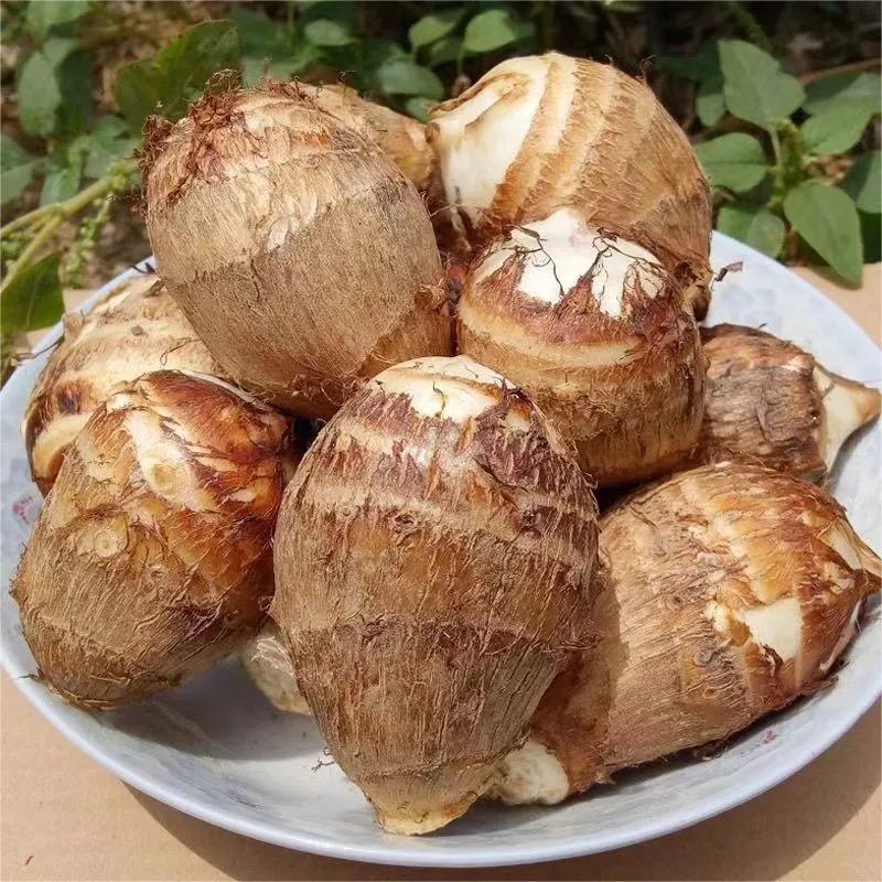 恩诺生鲜好物