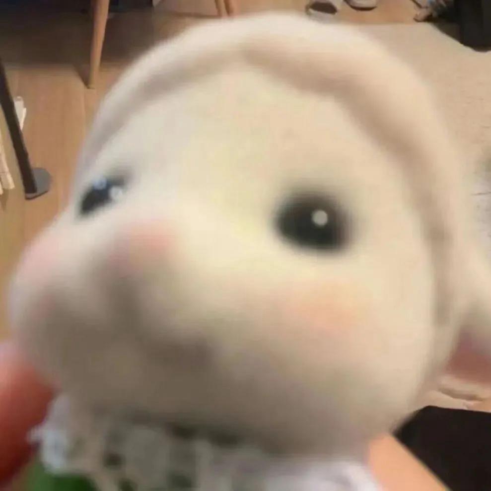 锦鲤小宣💫