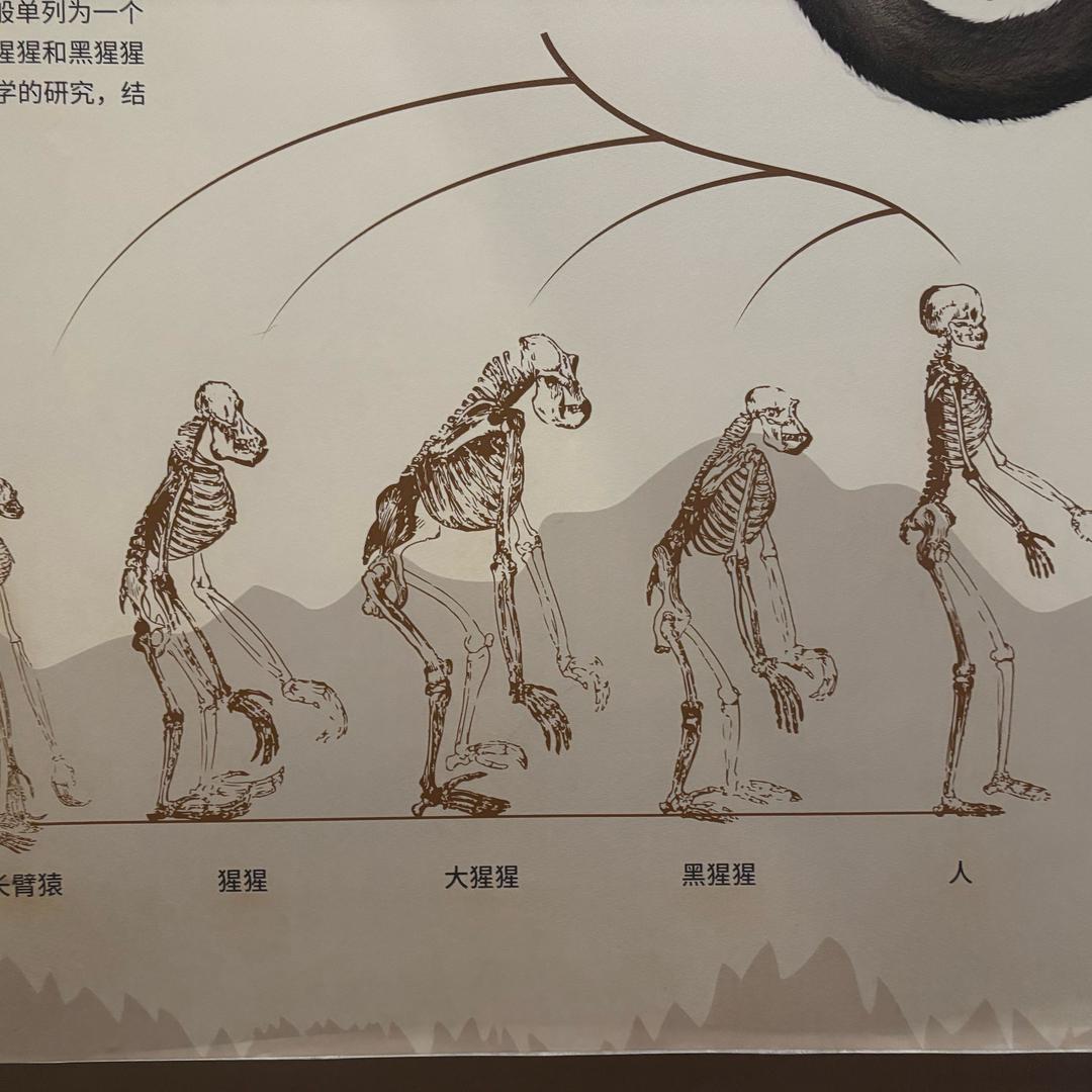 绵绵🌾