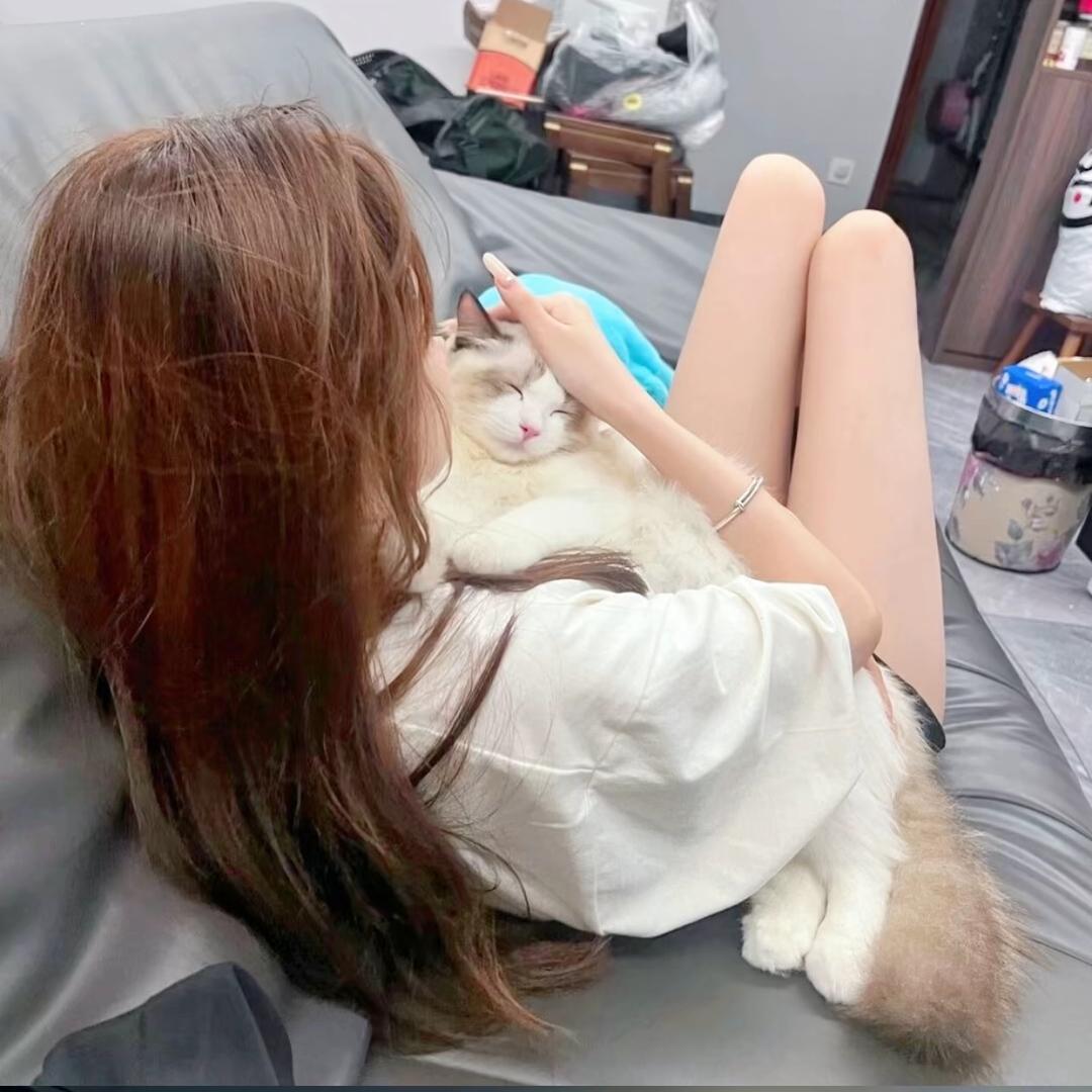 ㅤㅤㅤ         ㅤ