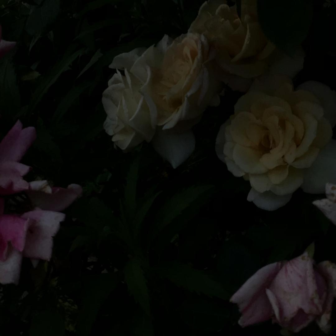 裕也