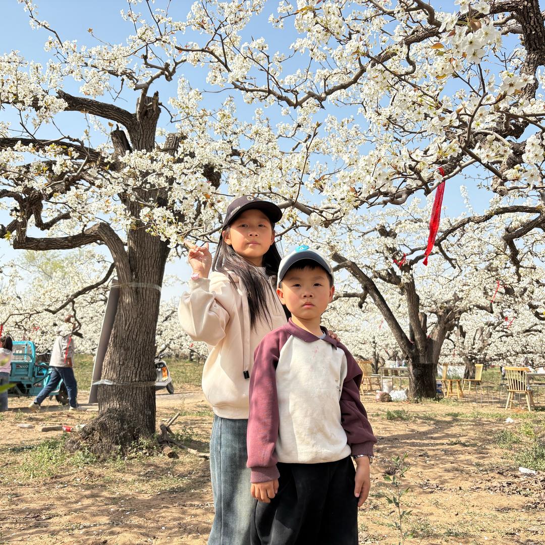AA临城县索菲亚婚礼🤵国