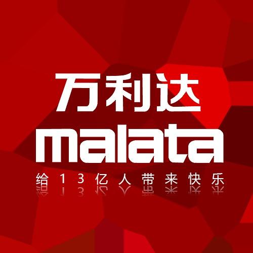 雅潇音响店