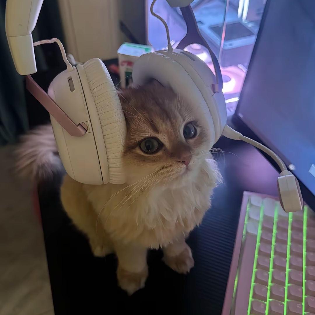 •