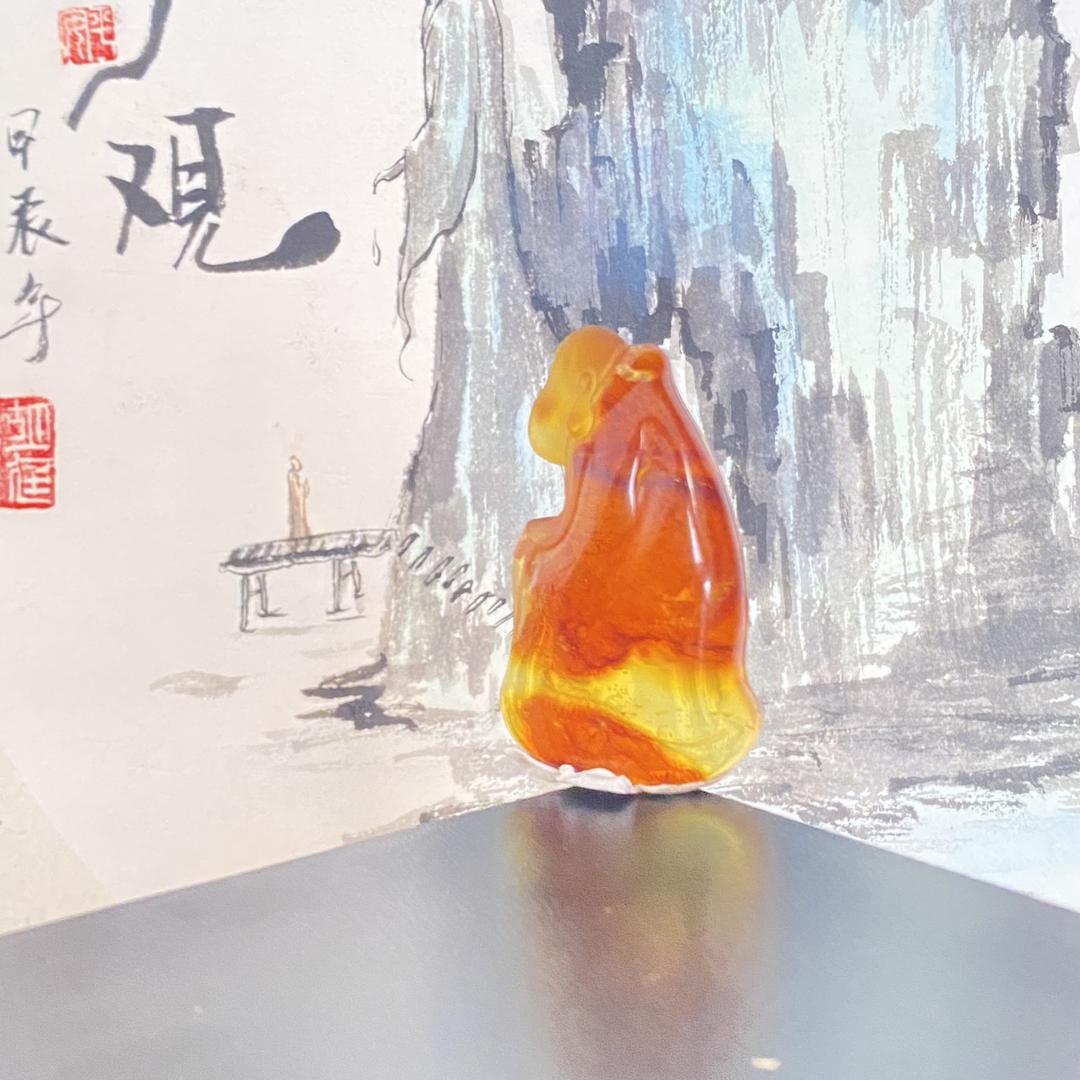 福丽小辉