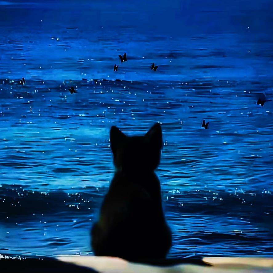 獨抱濃愁無好夢