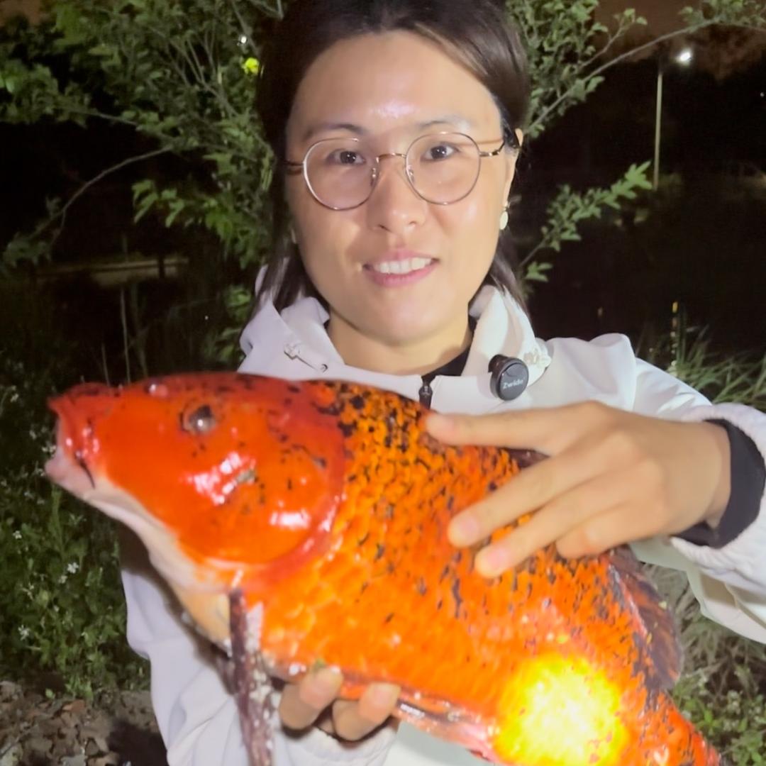 小懂
