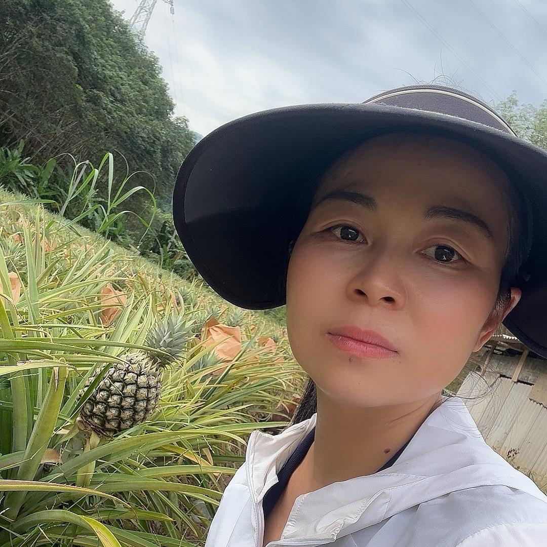 娟姐版纳山货特产