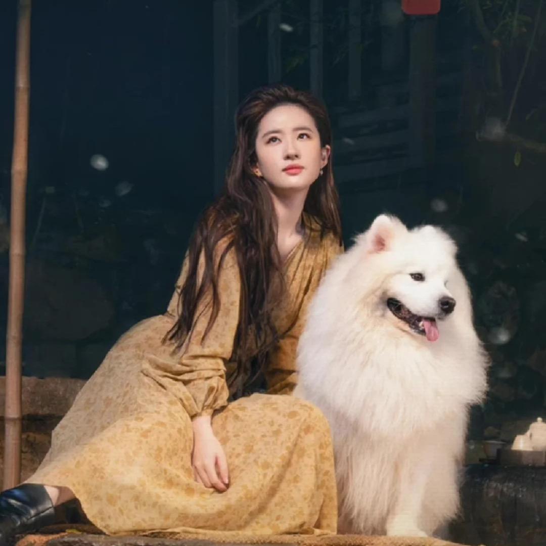 鱼鱼老师🎨