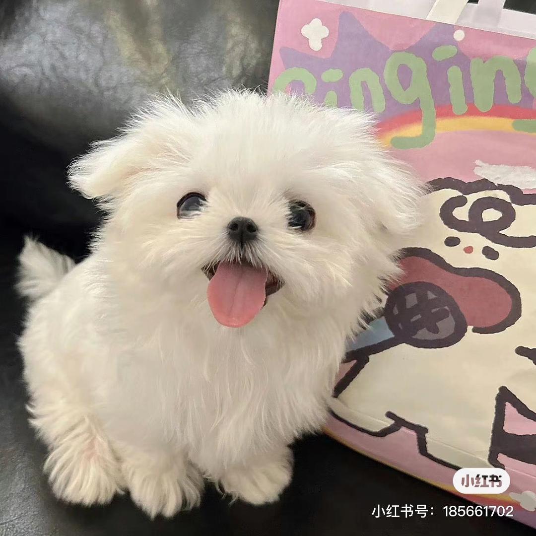 星星子烘焙小课堂🧸