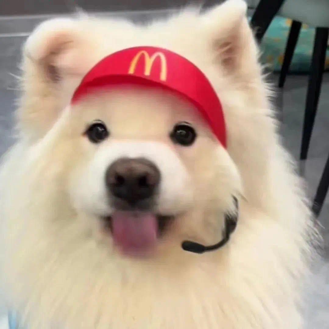 立春lolm