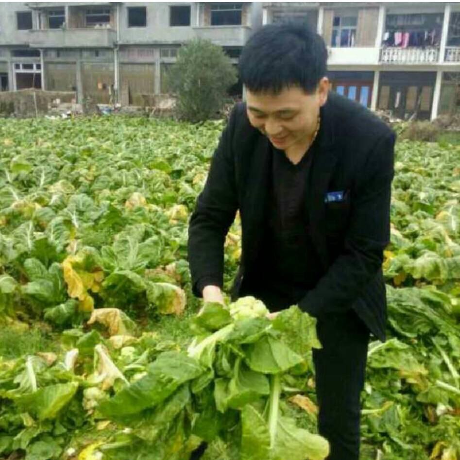 洪哥