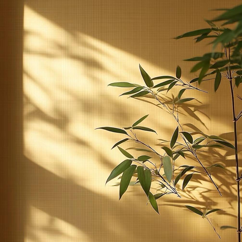 嵇豕传承
