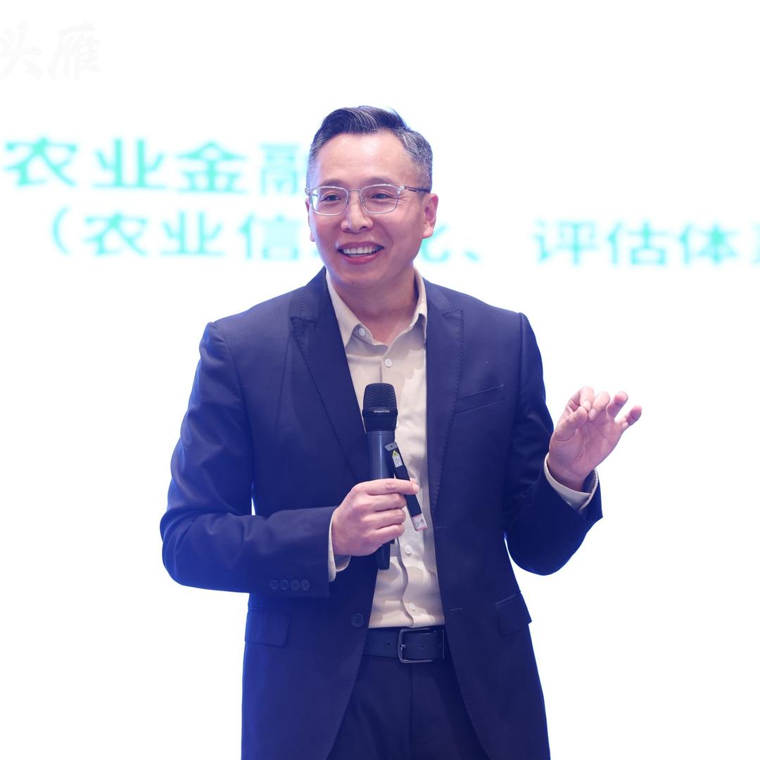 金哥正能量（杨绍金）