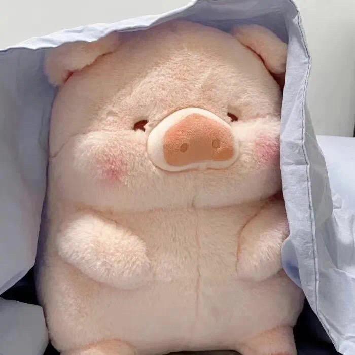依依吖