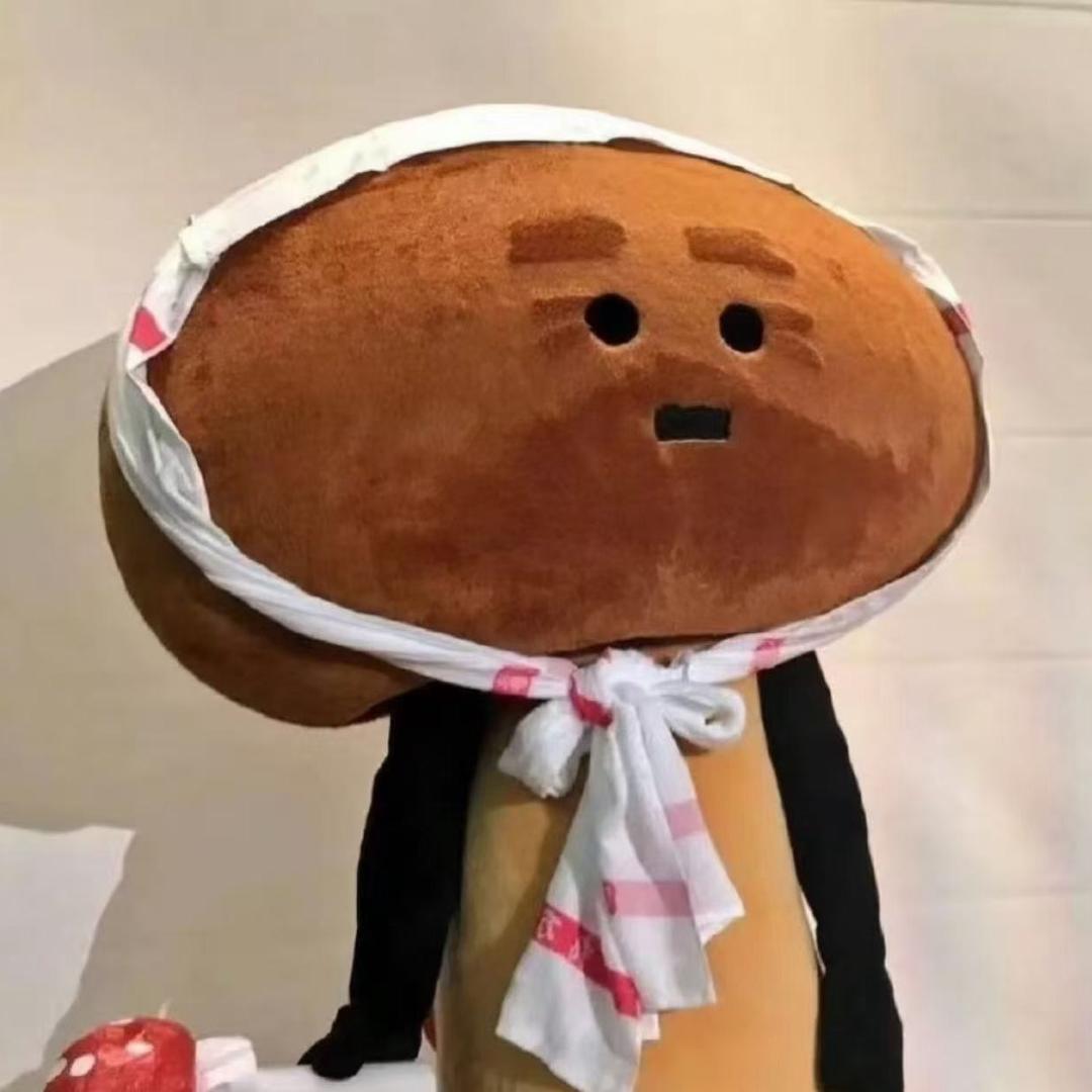 照照照喵🍄‍🟫