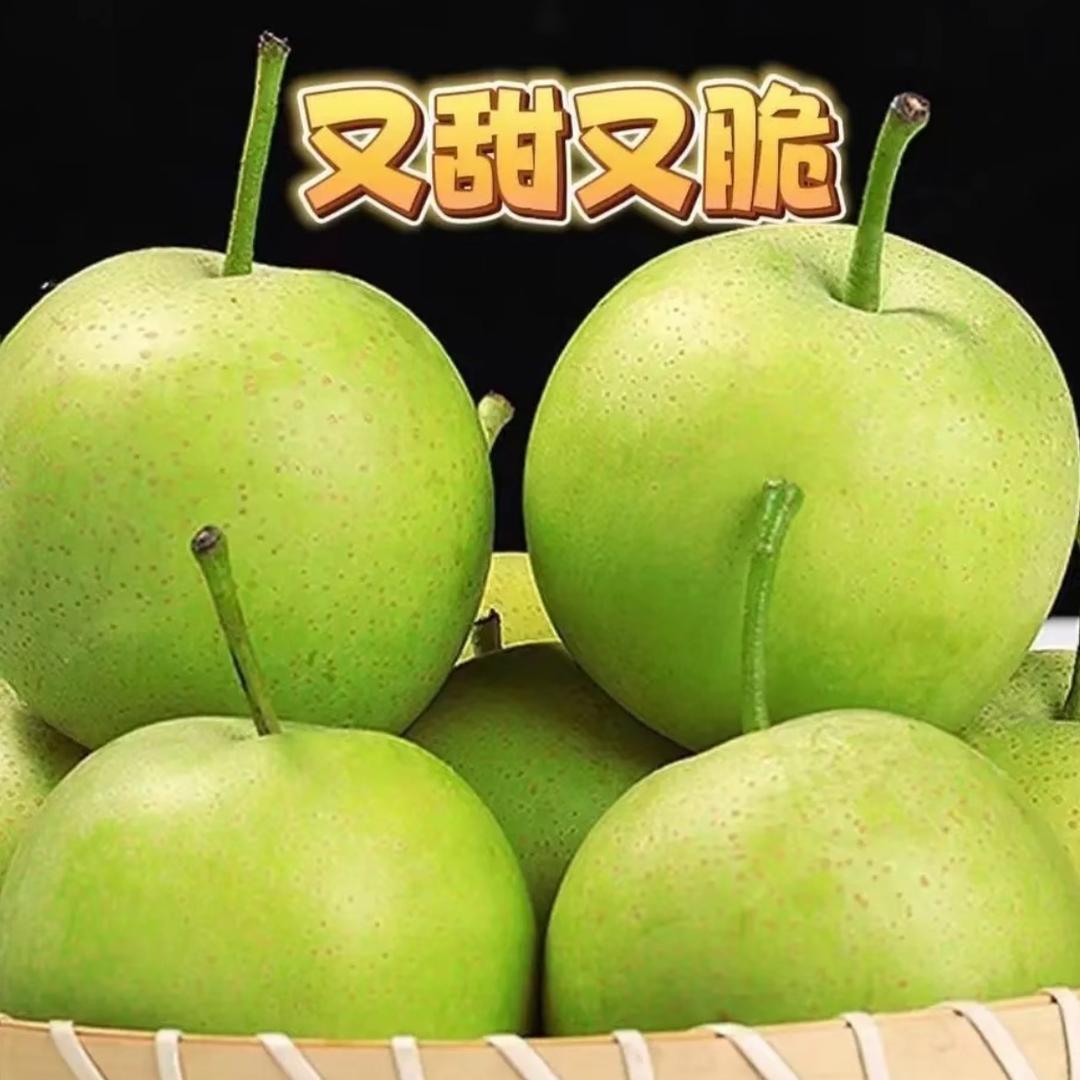 大毛严选