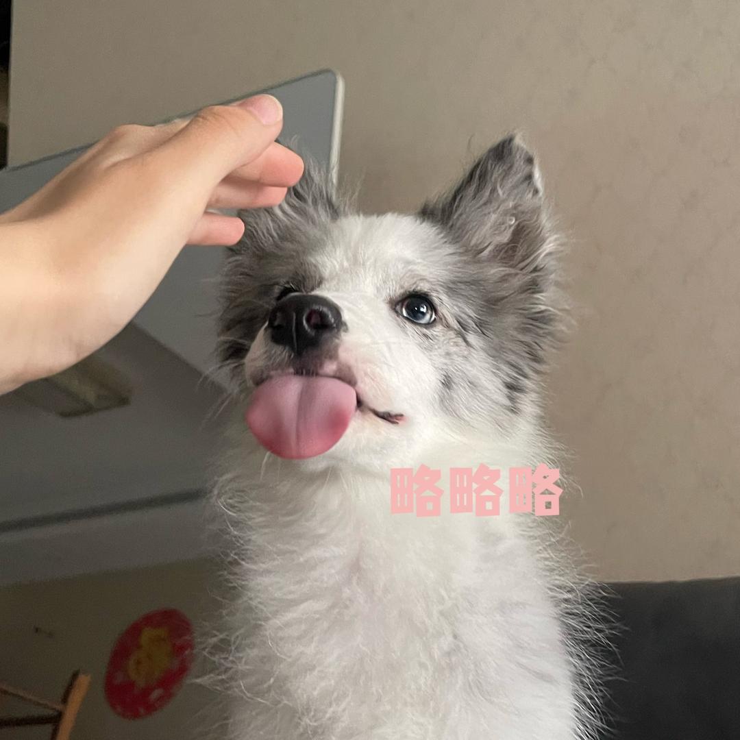 富贵十八