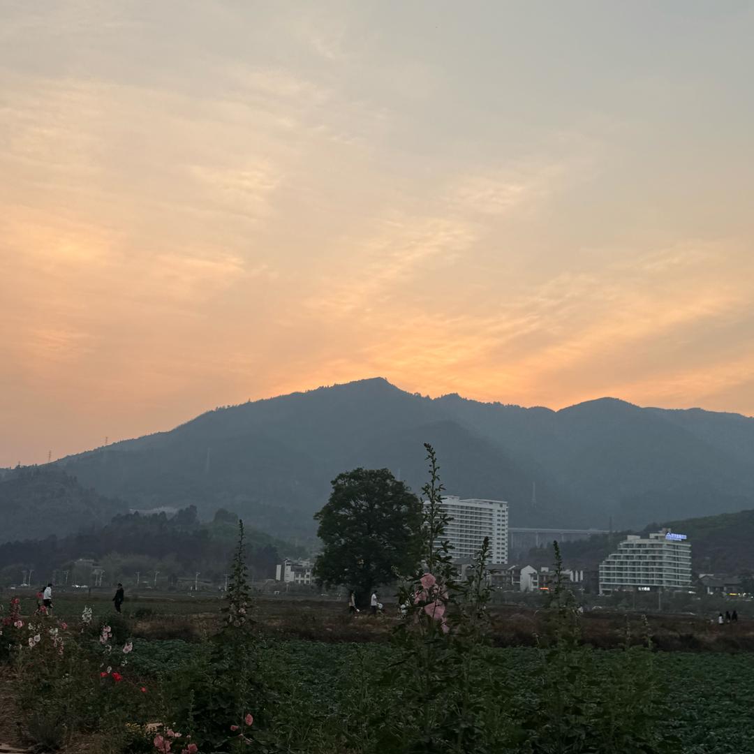 嗤蘪薍膋婺龢䕹SHUYU