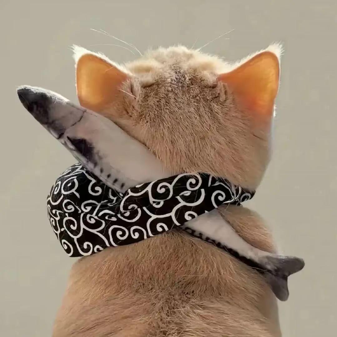没有昵称