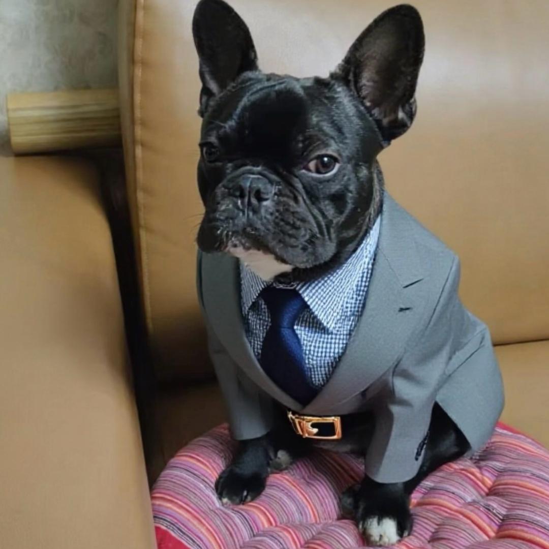 ❤️陈牛牛来喽✌️