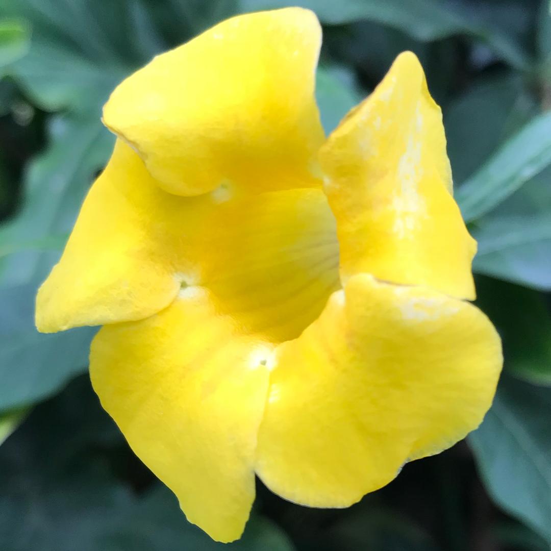 欧皇搬砖