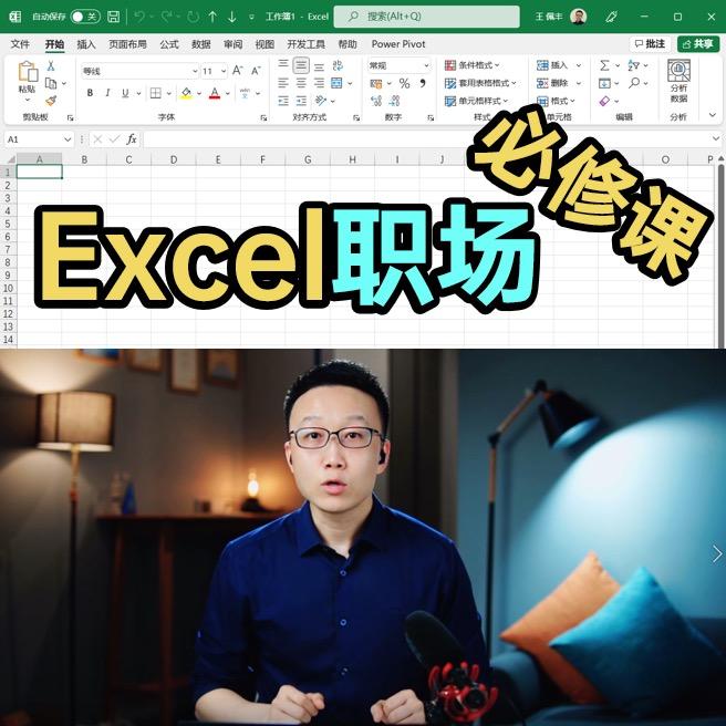 王佩丰 Excel-MVP