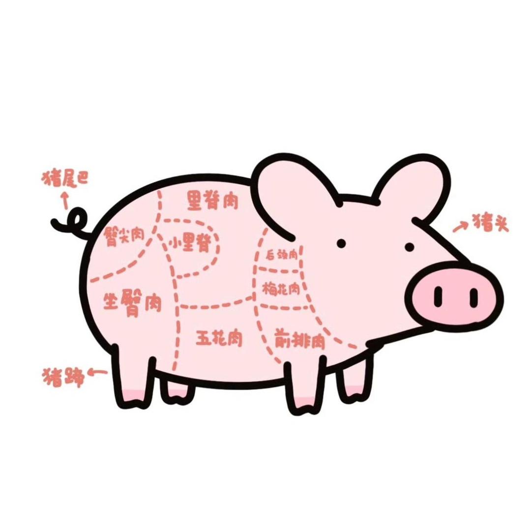 亮bao