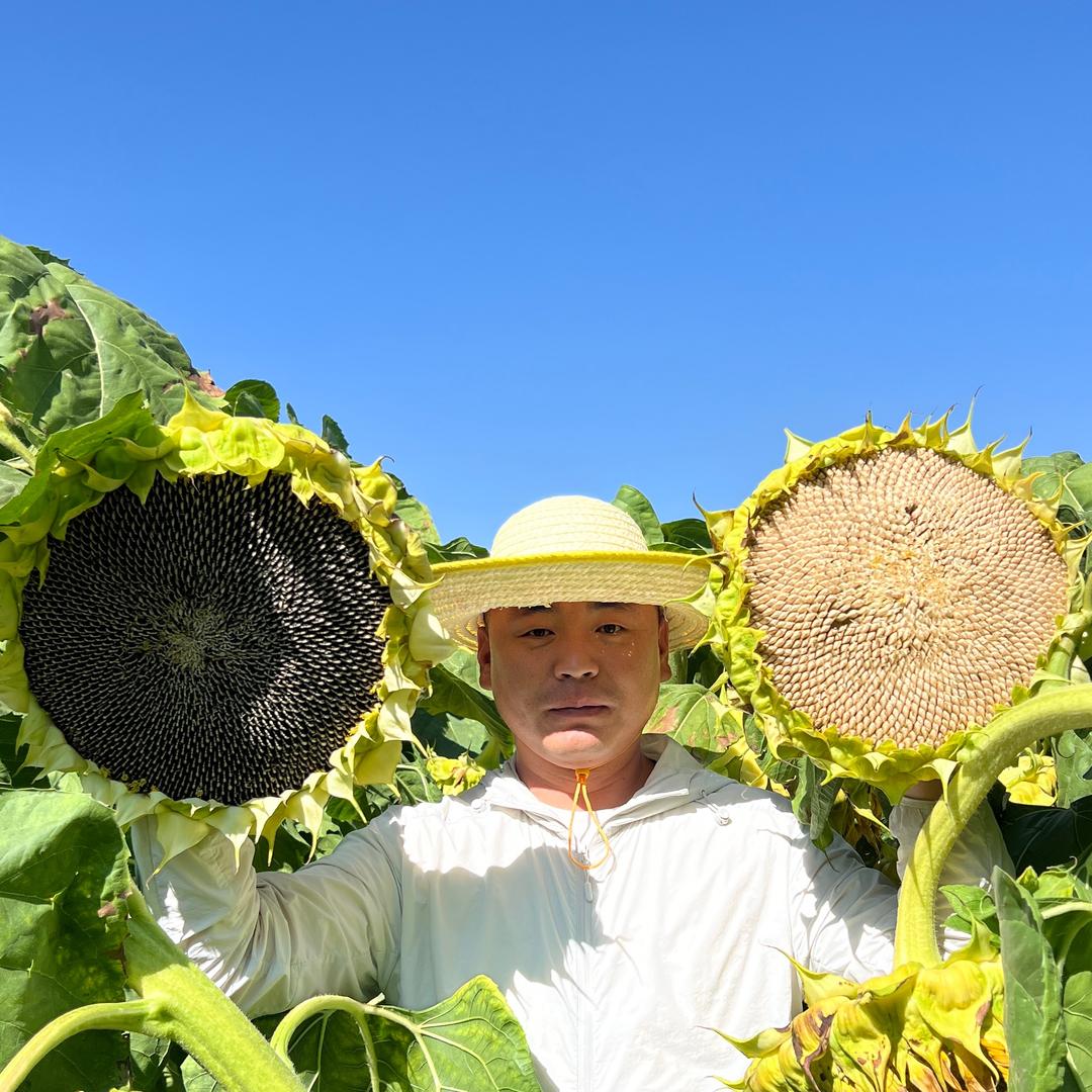 腾运种业二师兄