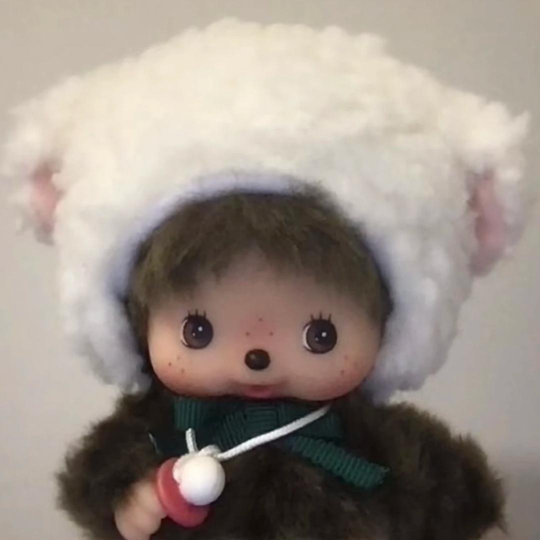 什么柿