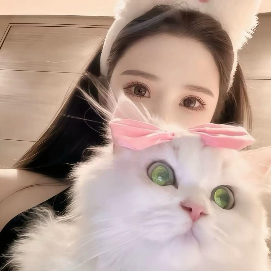 人生若只如初见