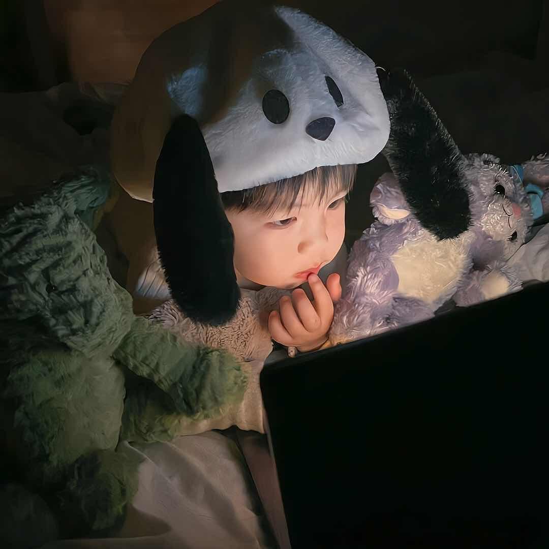 微微·菩提心《千秋昭君塞上情》版