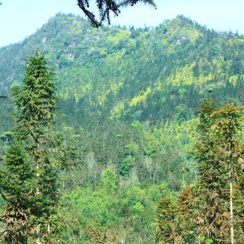 晨曦山货