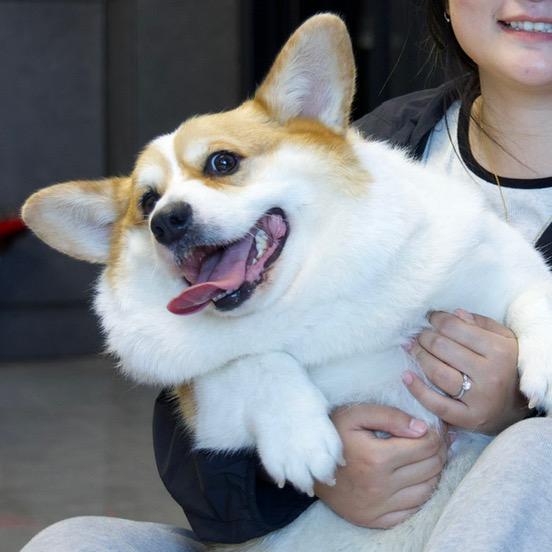 四郎的人生日记