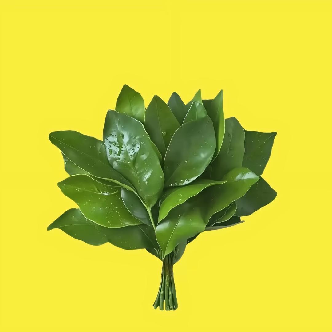 向阳而生