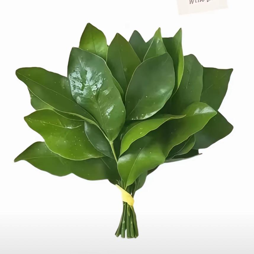 不會游的菜蛙！！