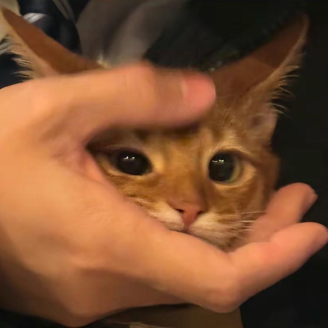 幸运烤菜头