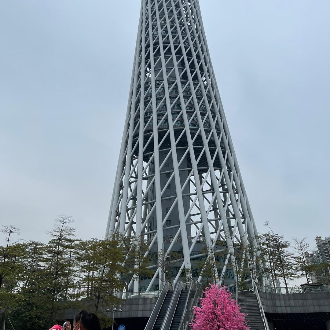 非洲王
