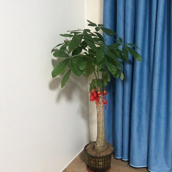 欣欣有缘