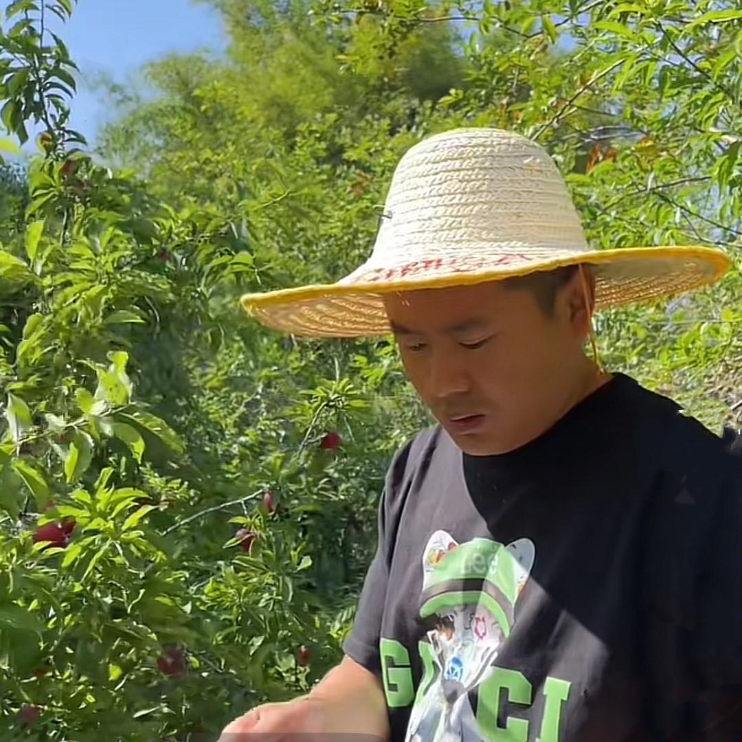 乡村老刘（回村记）