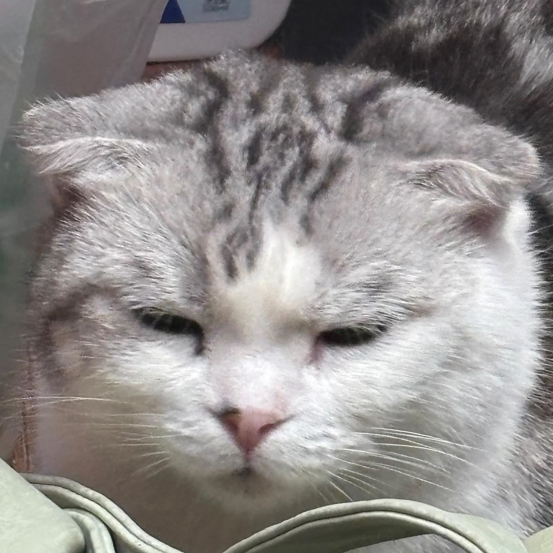 戒糖小熊手