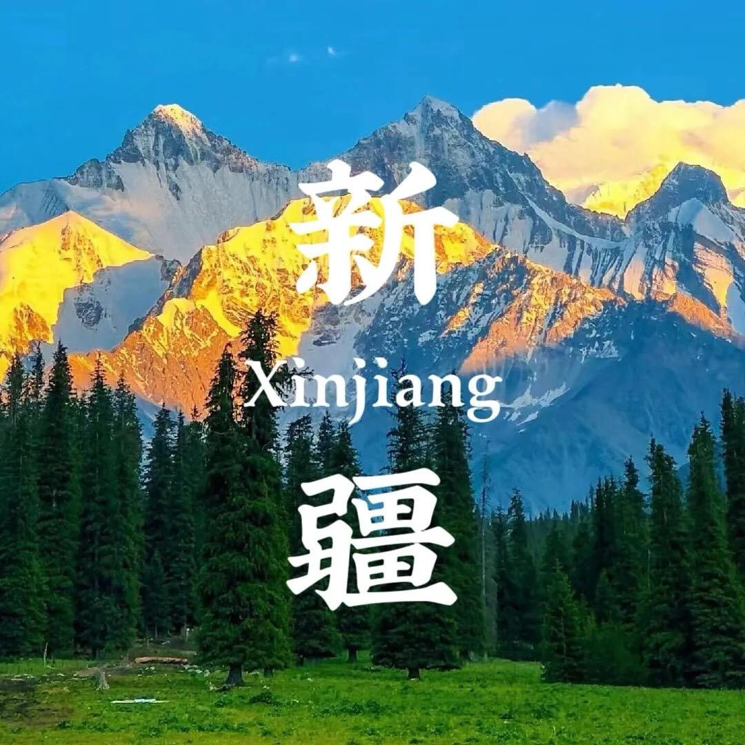 大琪在新疆落户了