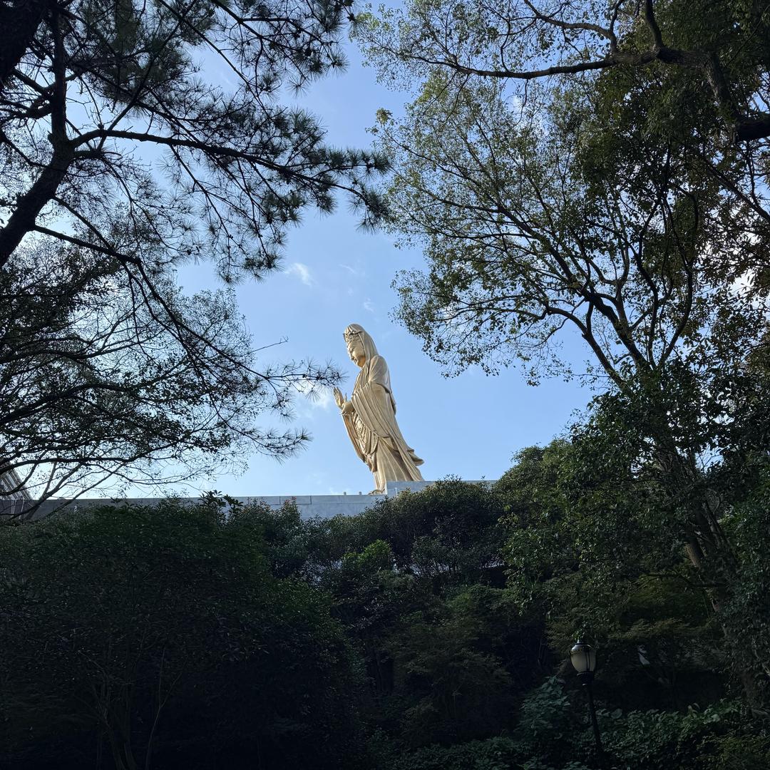 人生若只如初见