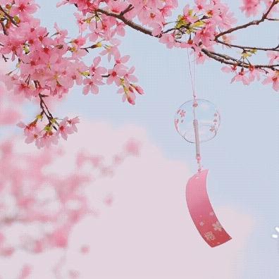 雨后还是雨