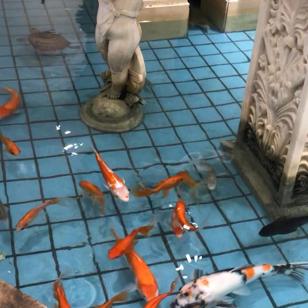寅者
